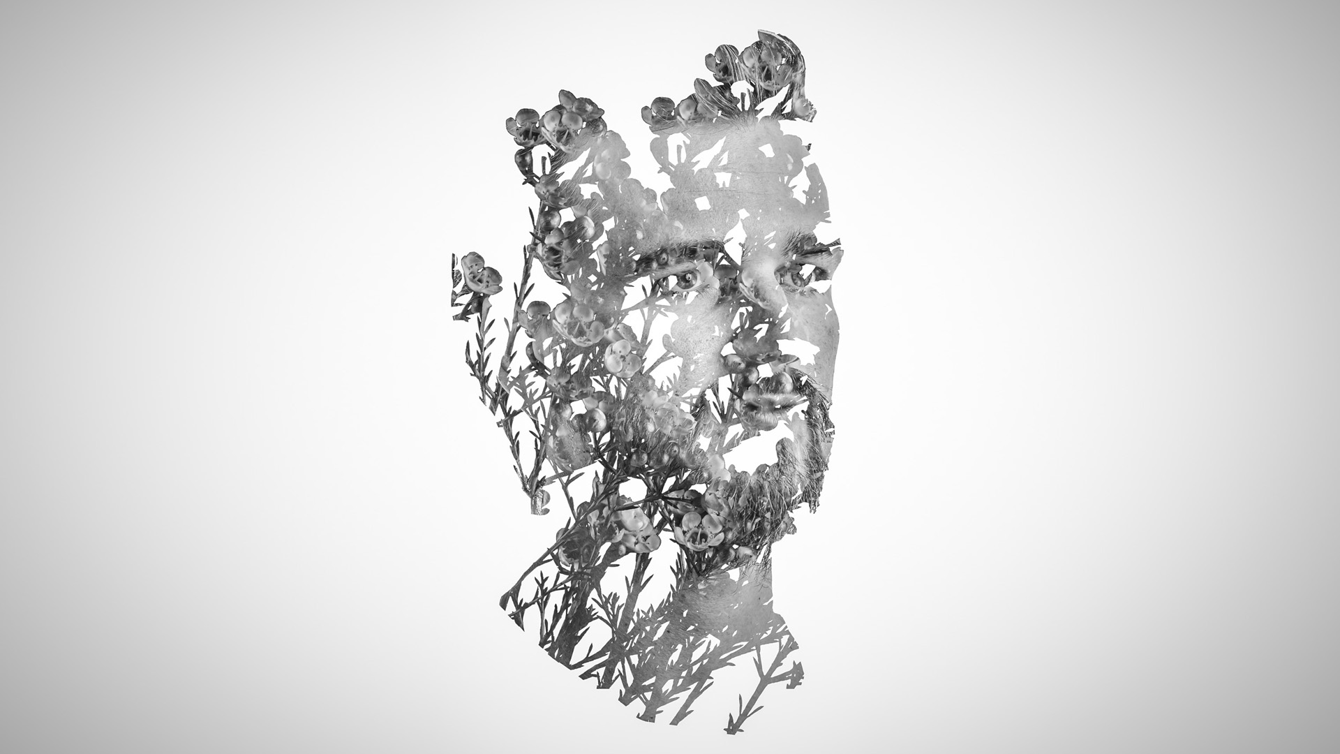 Photography by Joost Geertsen — image 11